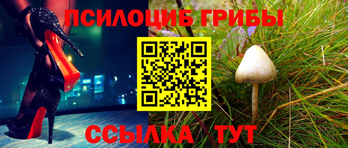 Псилоцибиновые грибы Magic Shrooms  Псилоцибиновые грибы Psilocybe  Ржев  как найти закладки  Вход с VPN 